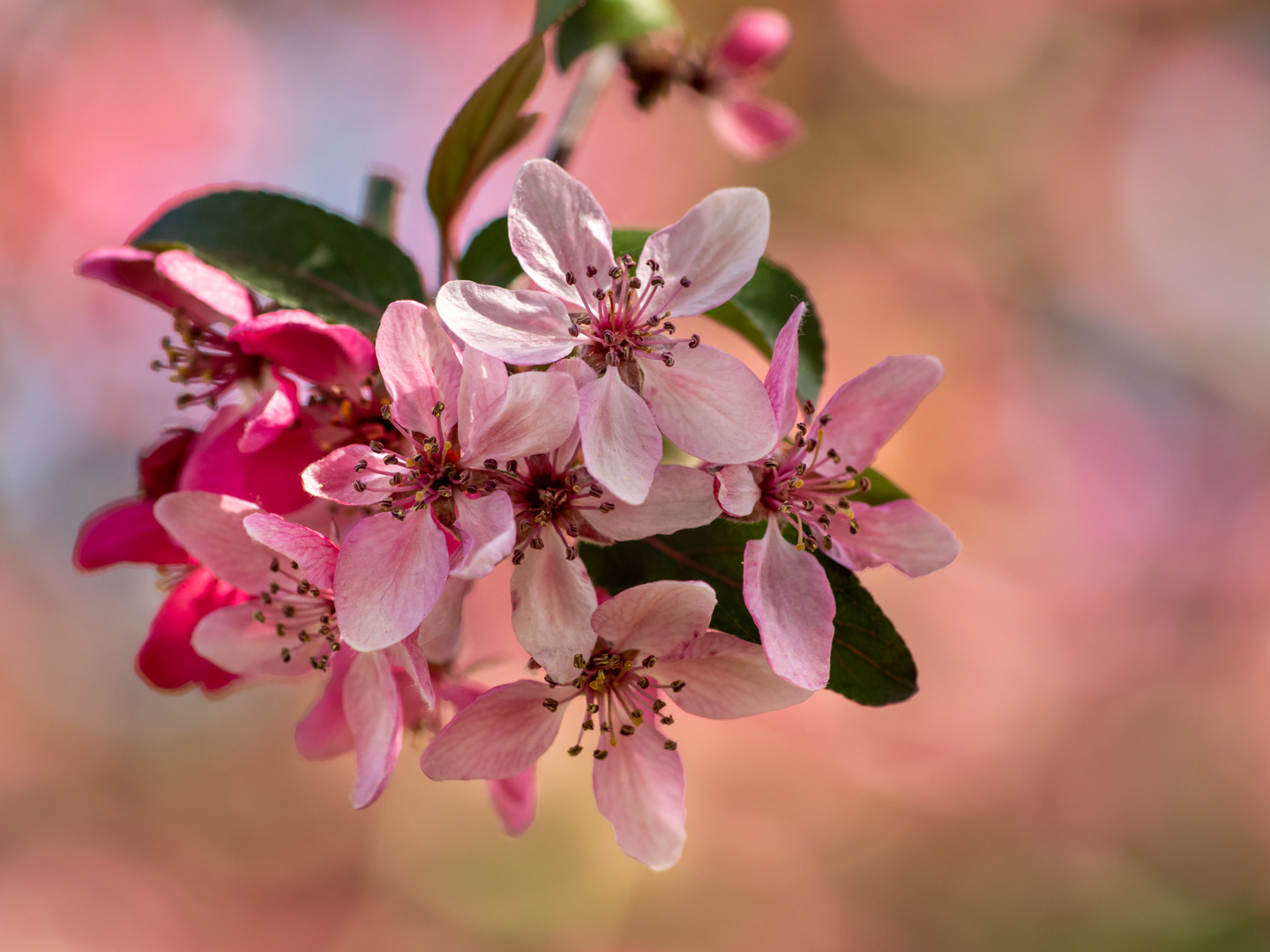 Vorfreude auf den Frühling