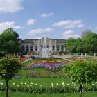 Vorfreude auf den Frühling in Köln