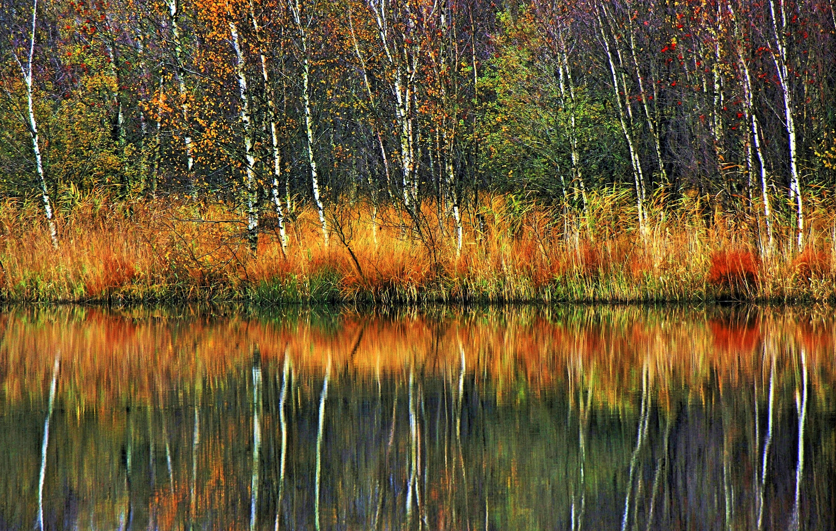 Vorfreude auf den Herbst