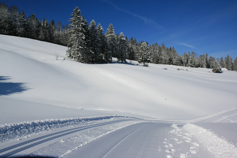 Vorfreude auf den nächsten Winter