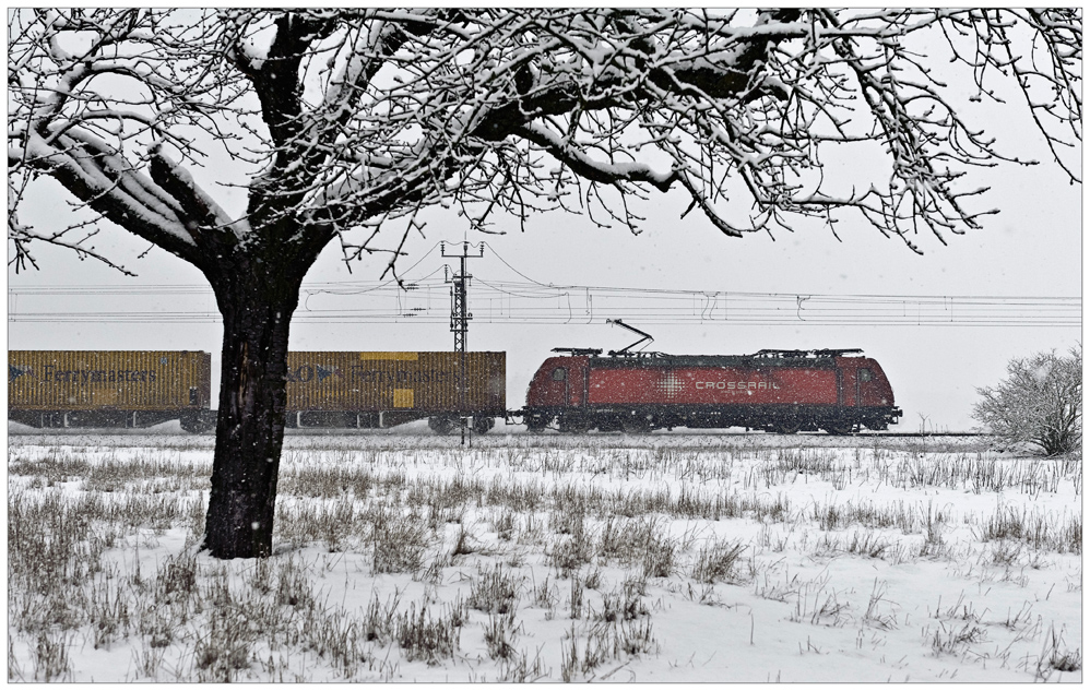 Vorfreude auf den Schnee I