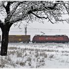 Vorfreude auf den Schnee I