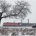 Vorfreude auf den Schnee II