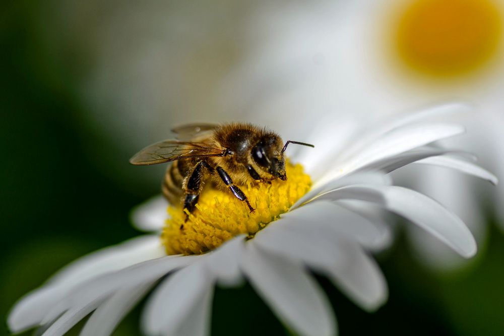 Vorfreude auf den Sommer