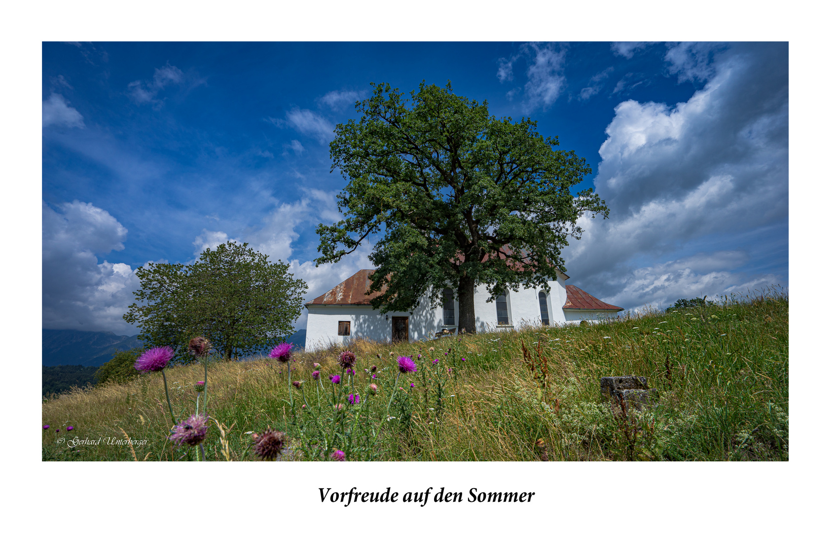 Vorfreude auf den Sommer