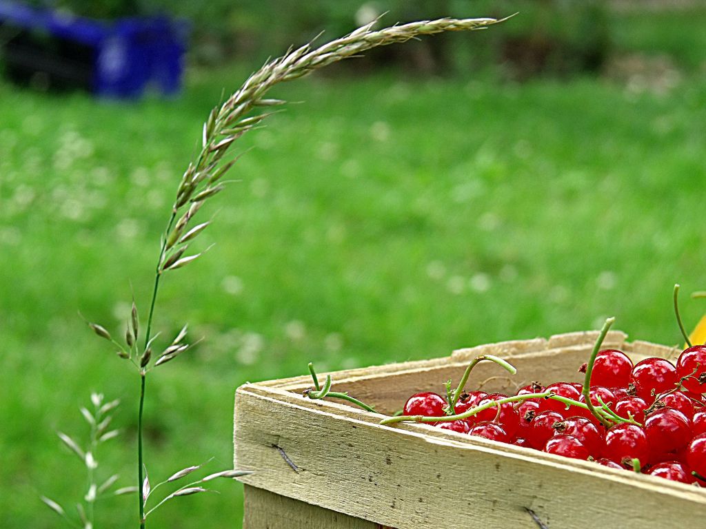 Vorfreude auf den Sommer