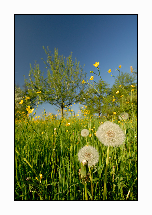 Vorfreude auf den Sommer