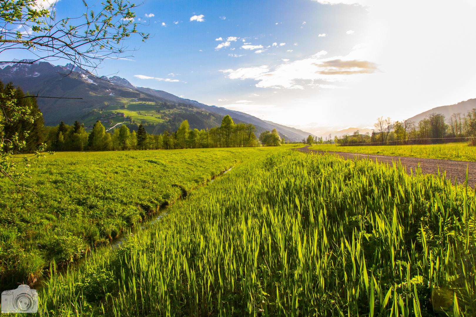 Vorfreude auf den Sommer