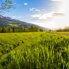 Vorfreude auf den Sommer