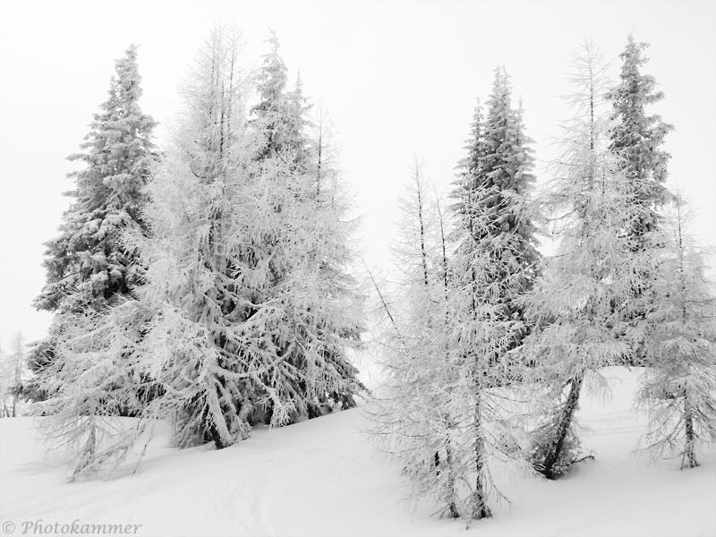 Vorfreude auf den Winter