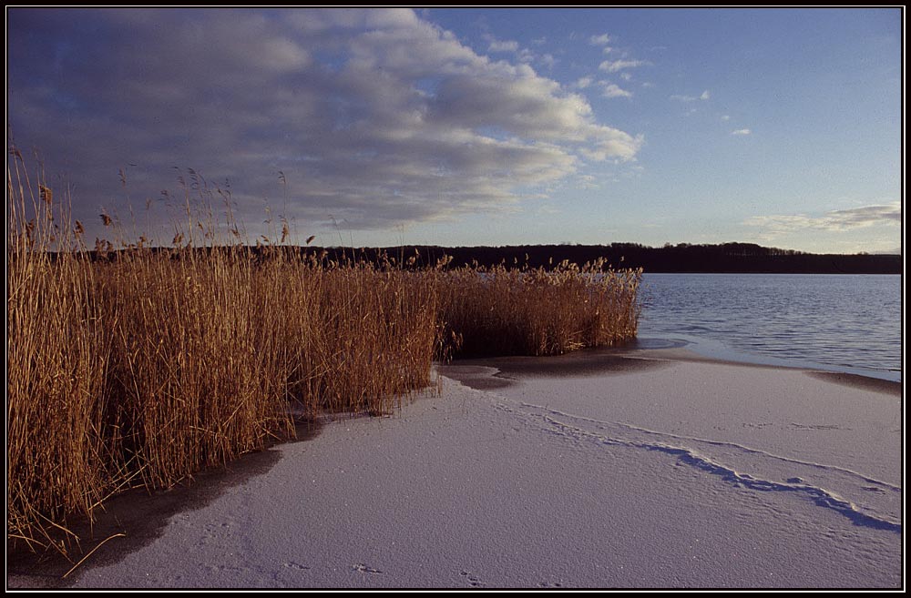 Vorfreude auf den Winter am See