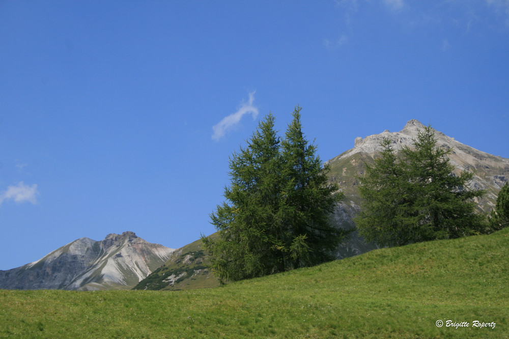 Vorfreude auf die Berge V