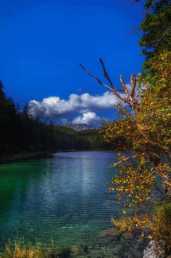 ...Vorfreude auf die Farben des Herbstes..