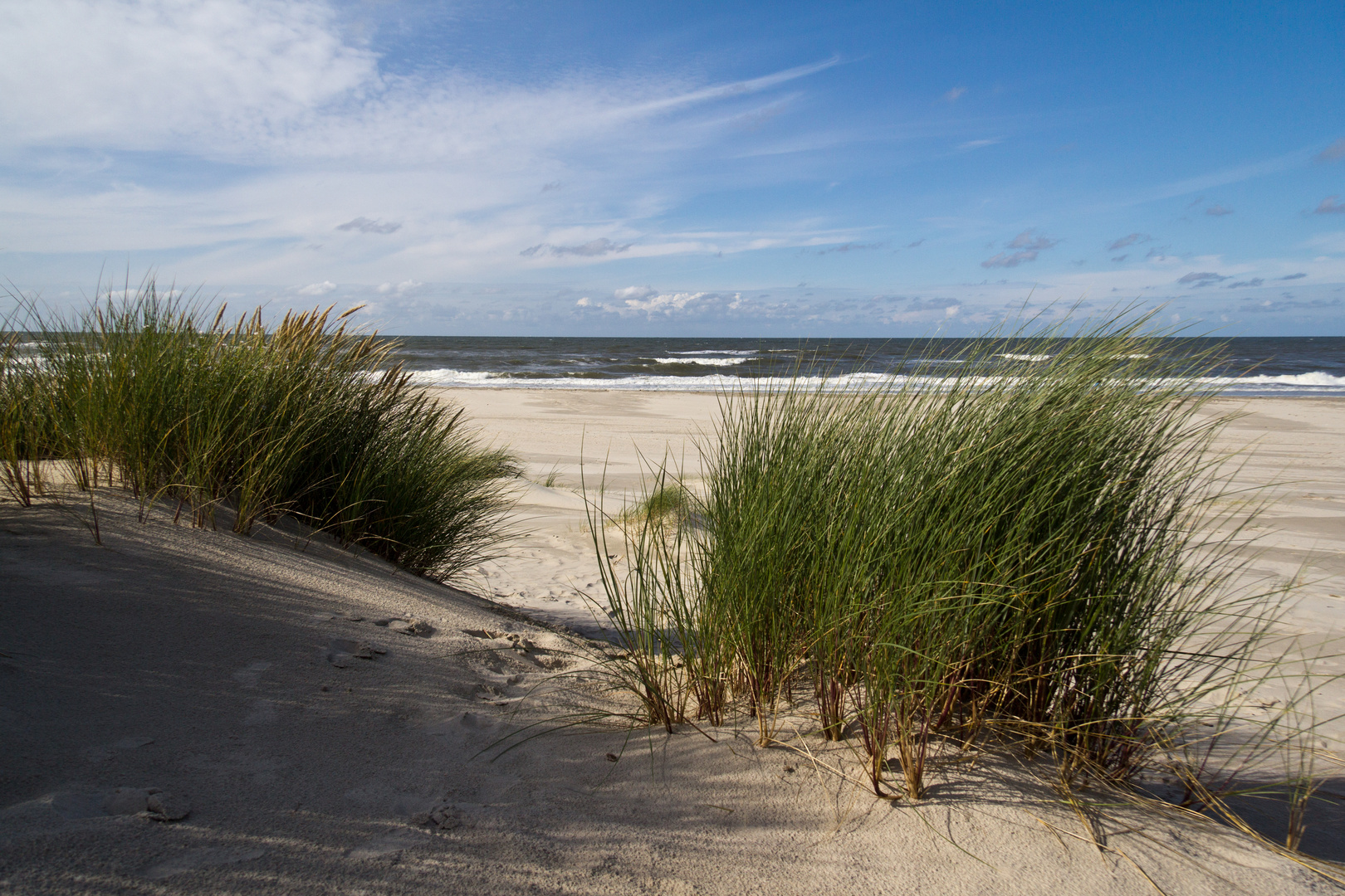 Vorfreude auf Ferien am Meer (2)