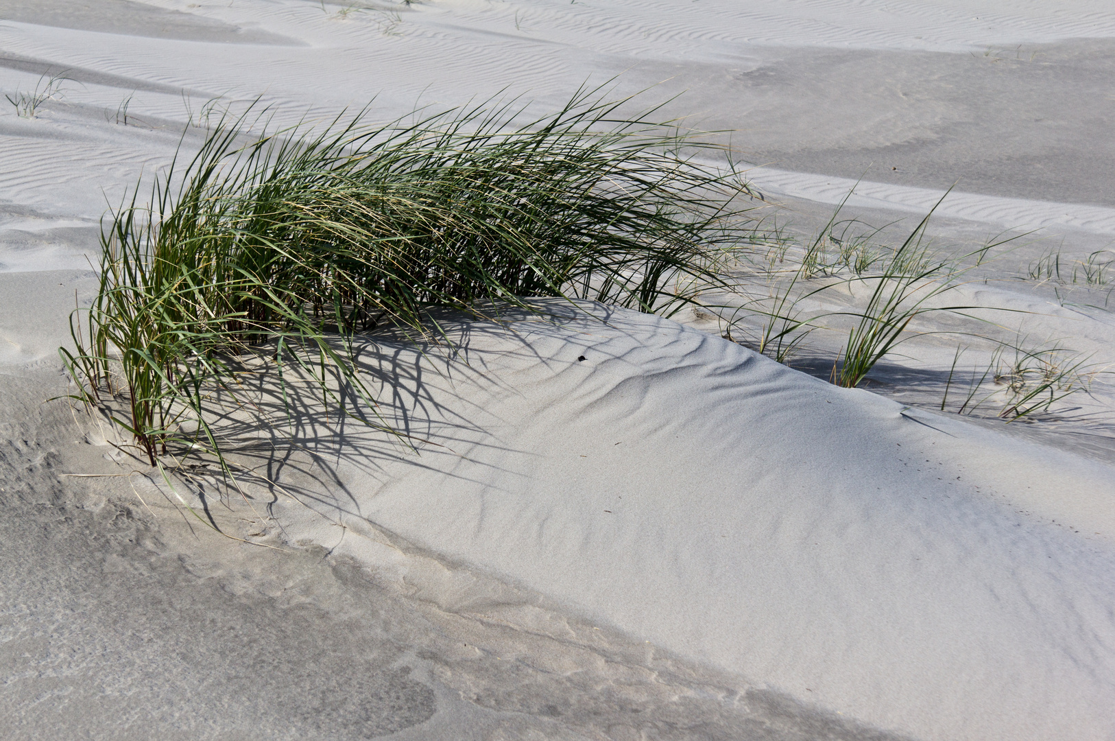 Vorfreude auf Ferien am Meer (3)