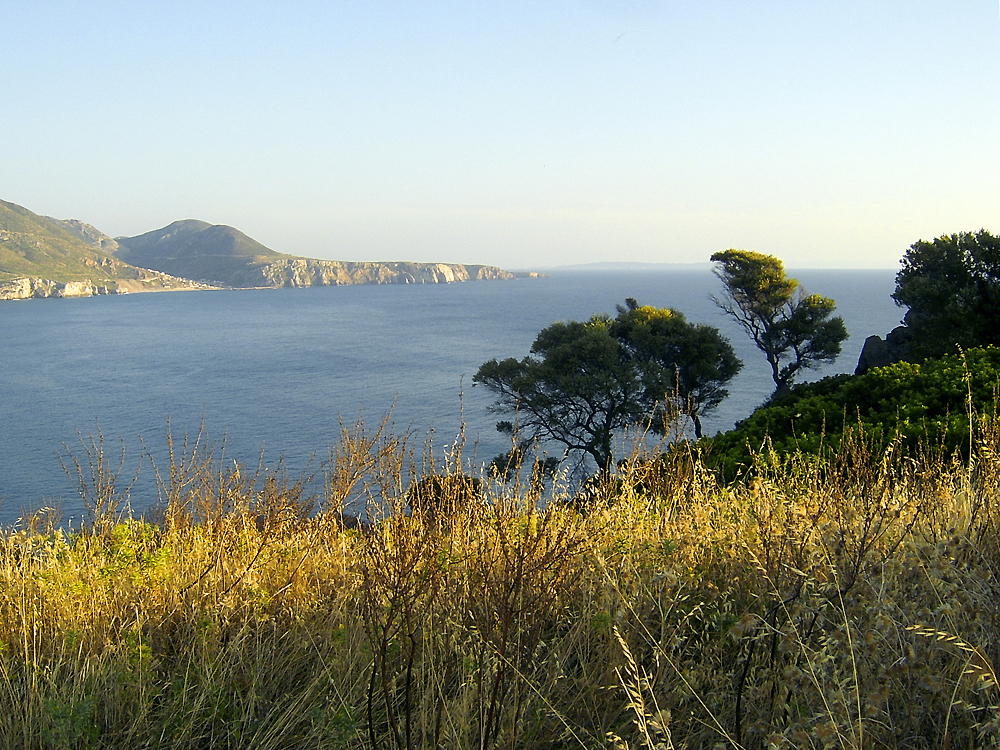 Vorfreude auf Ferien in Sardinien / Gioiosa attesa di vacanze in Sardegna (1)