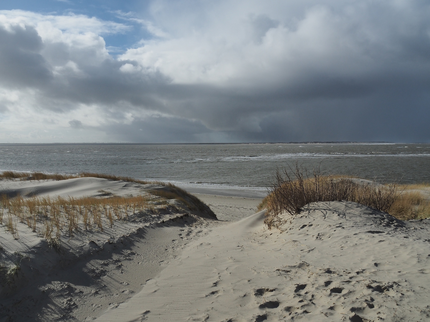 Vorfreude auf Langeoog