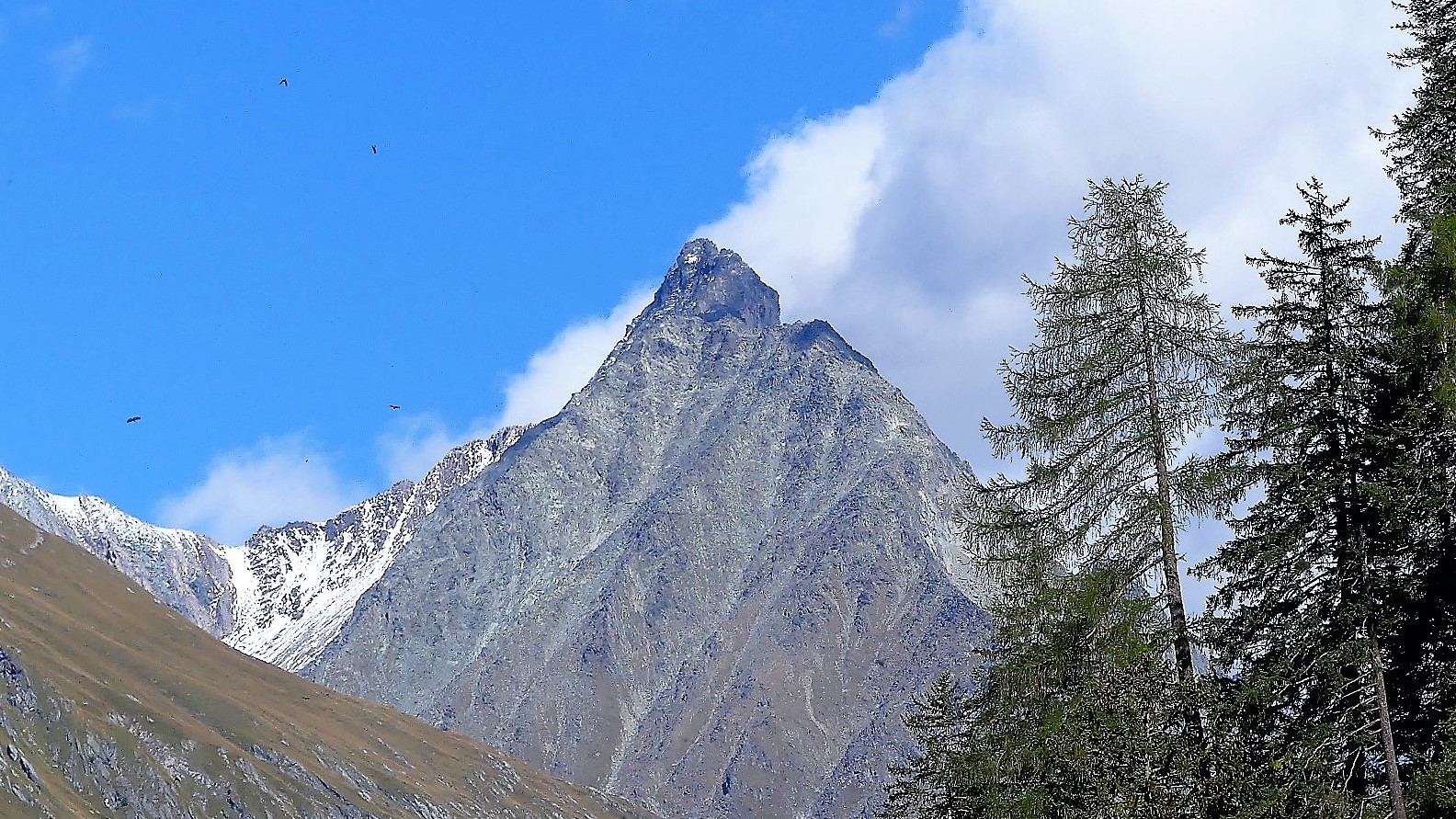 Vorfreude auf Osttirol (Archivbild)