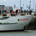 Vorfreude. Boarding auf dem Weg zur grünen Insel