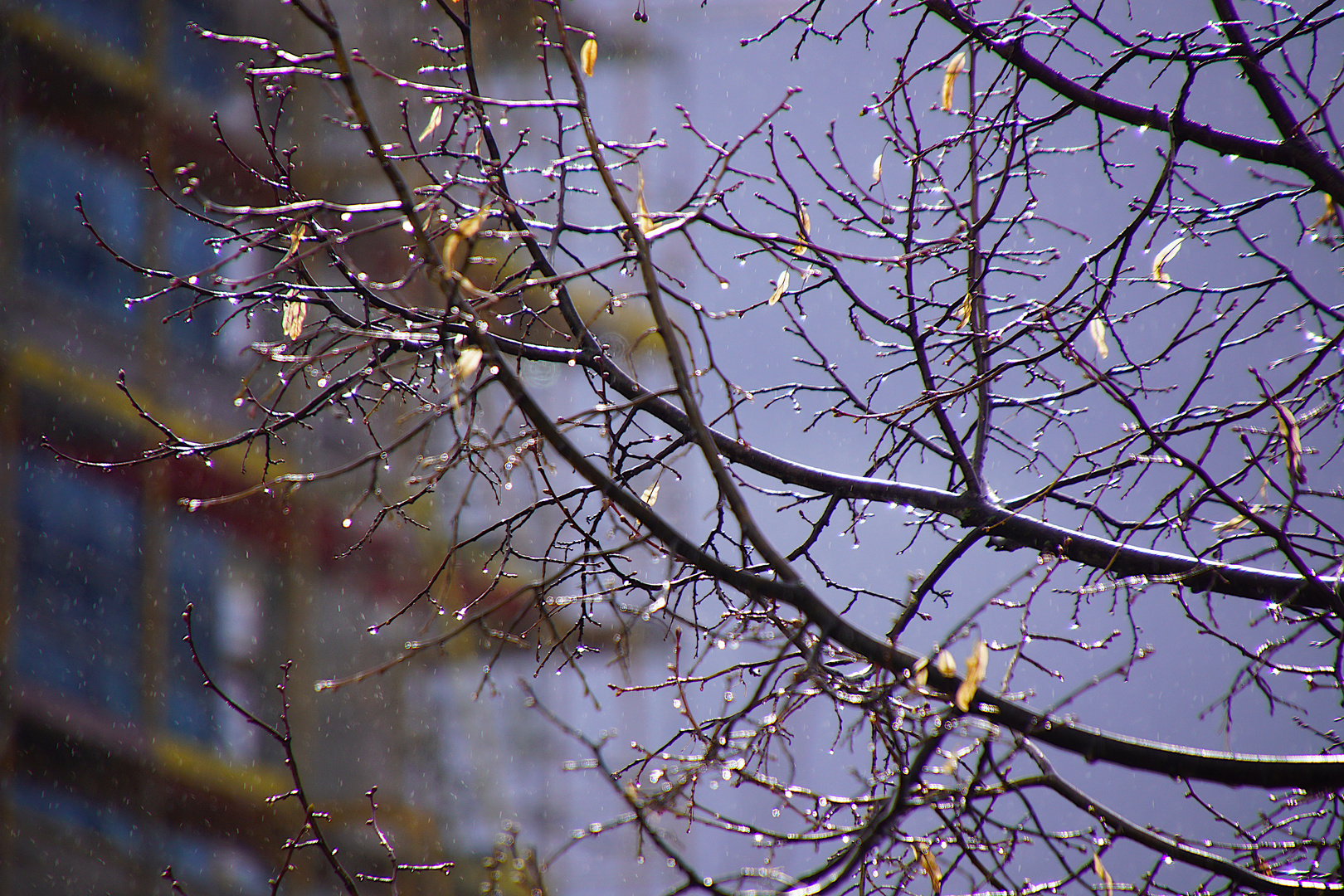 Vorfristiges Aprilwetter