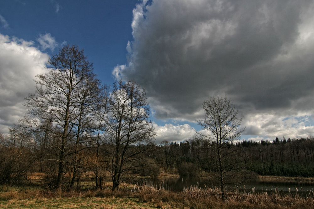 Vorfrühling