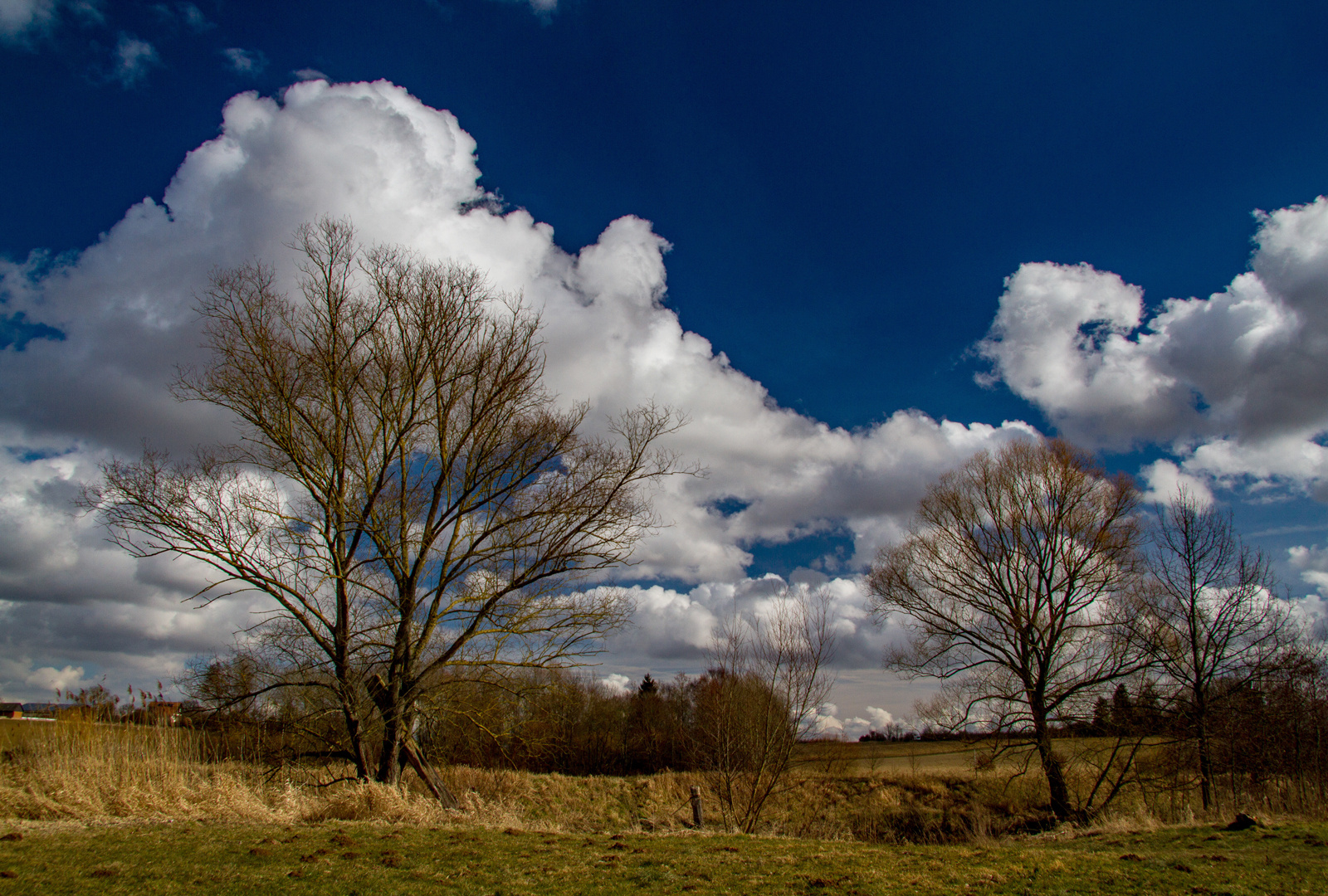 Vorfrühling