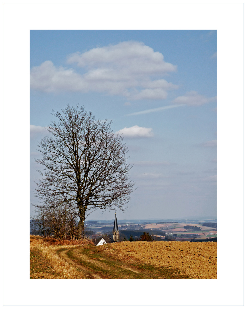 Vorfrühling