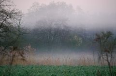 Vorfrühling