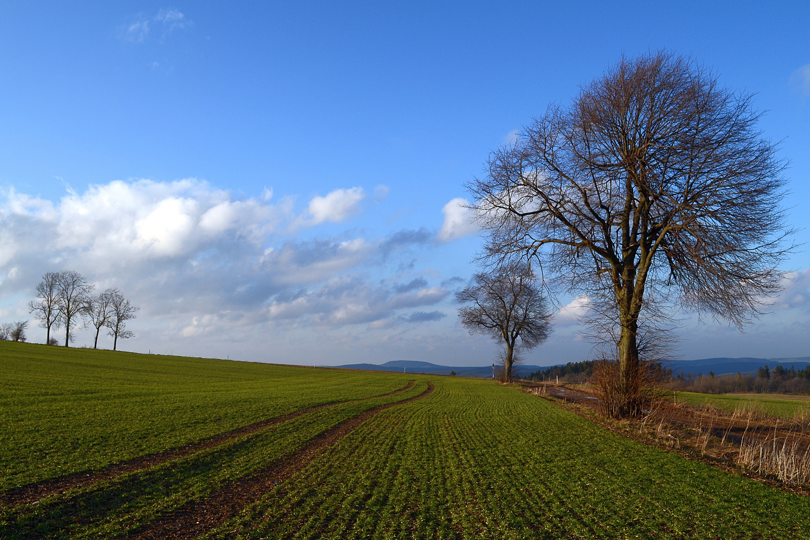 Vorfrühling 2