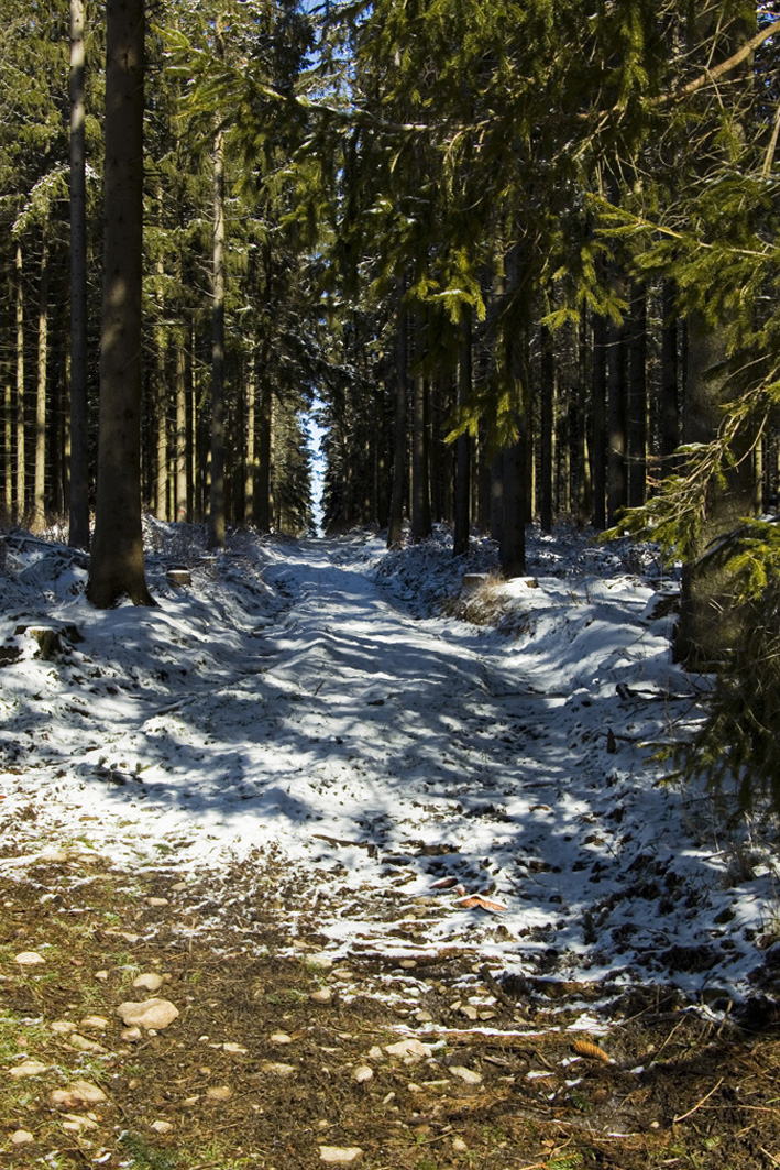 Vorfrühling