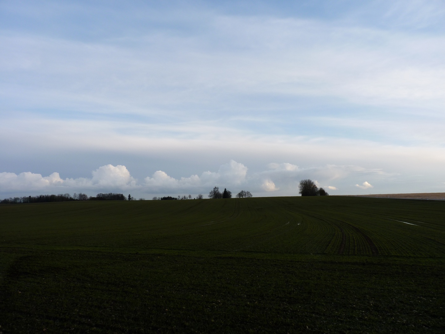 Vorfrühling