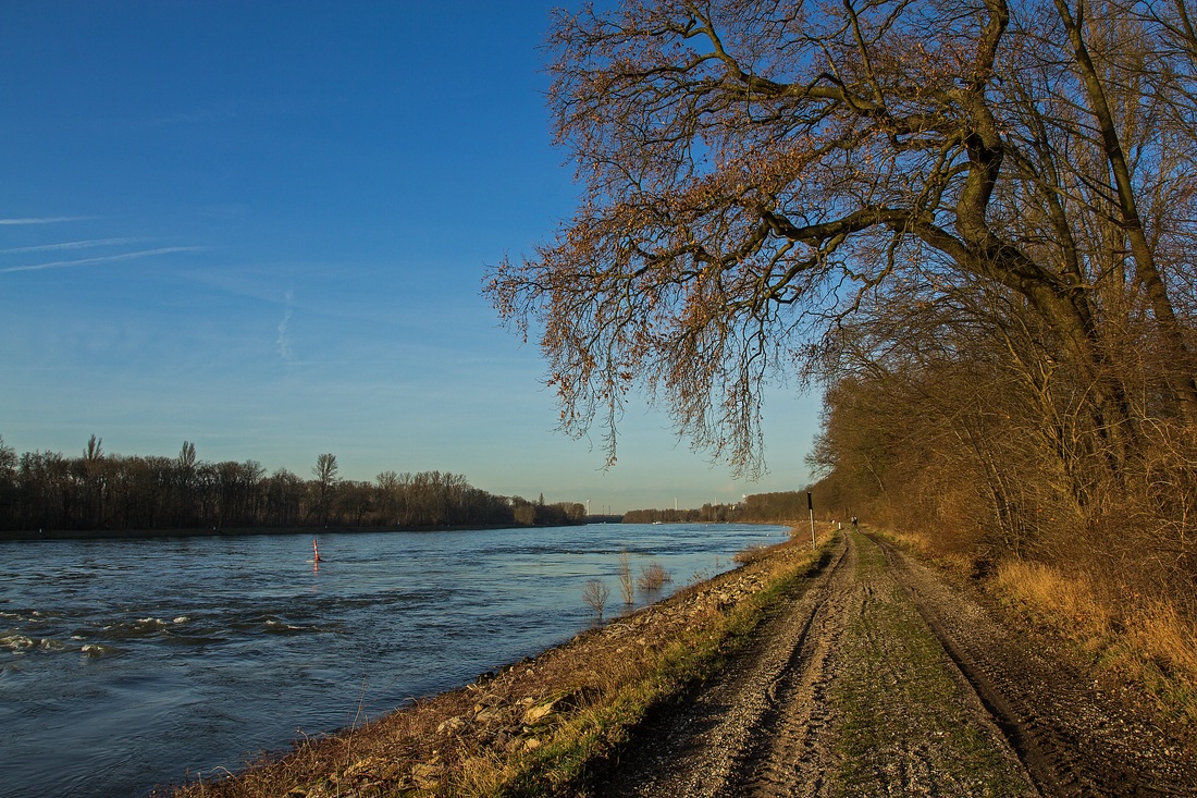 Vorfrühling...........