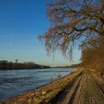 Vorfrühling...........