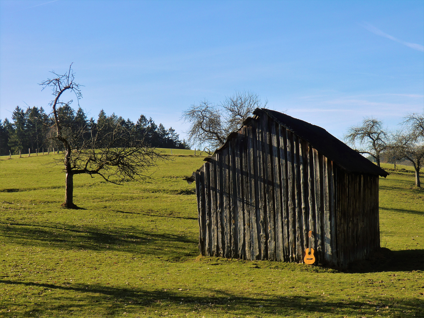 Vorfrühling