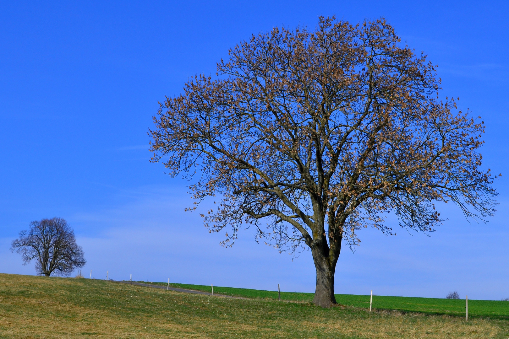 Vorfrühling