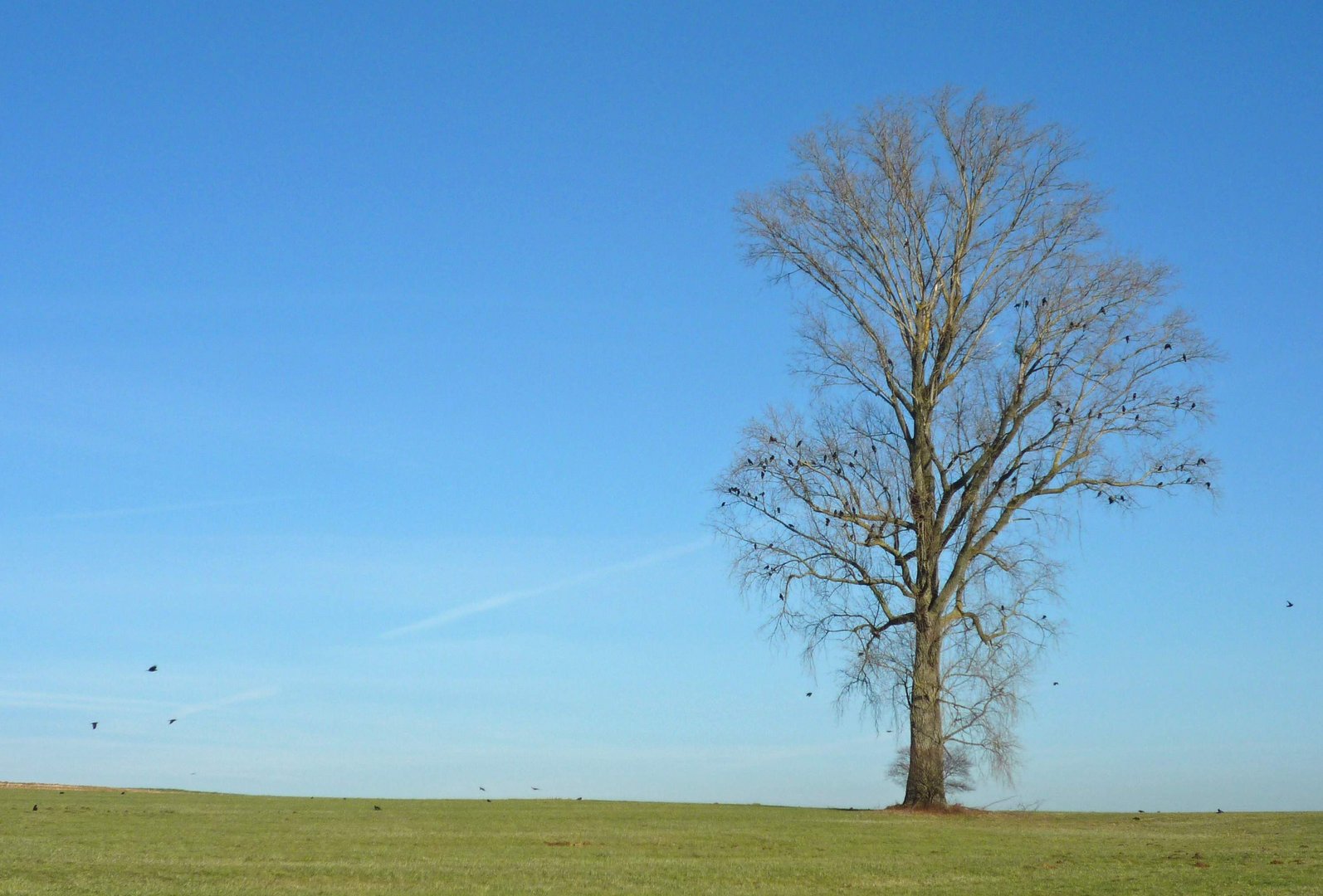 Vorfrühling