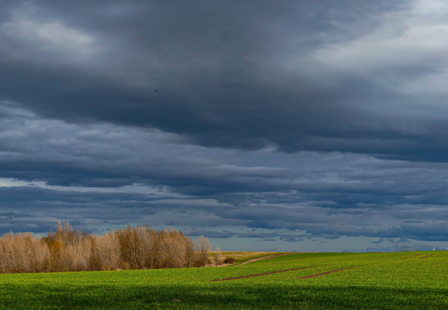 Vorfrühling