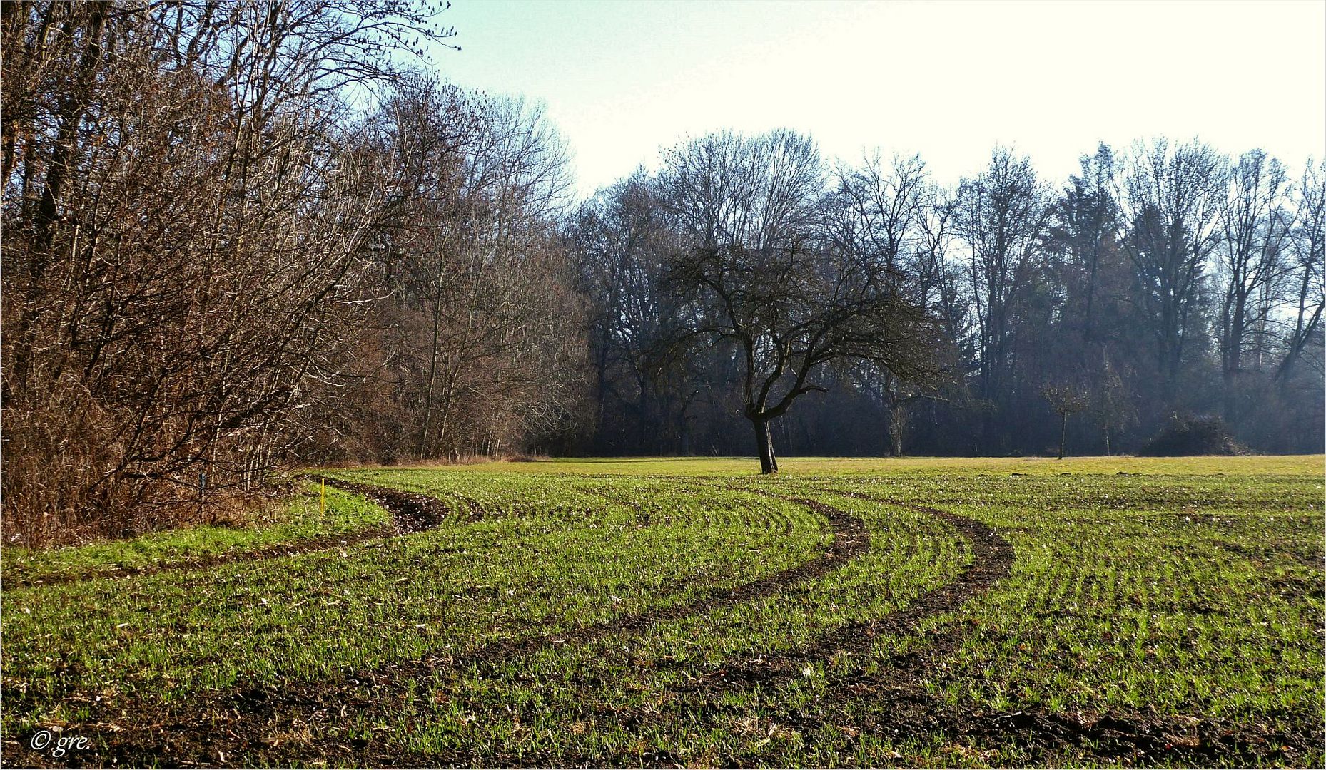 Vorfrühling ?