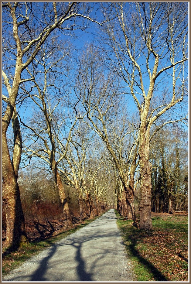 "Vorfrühling"