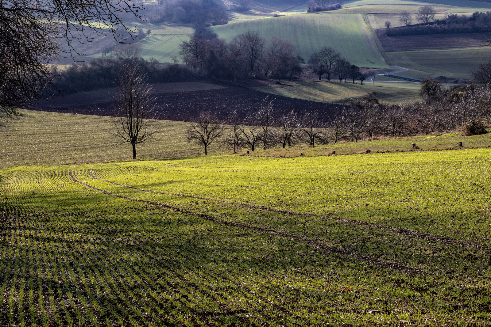 Vorfrühling