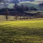 Vorfrühling