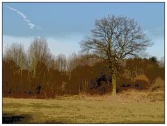 Vorfrühling am Aggerbogen