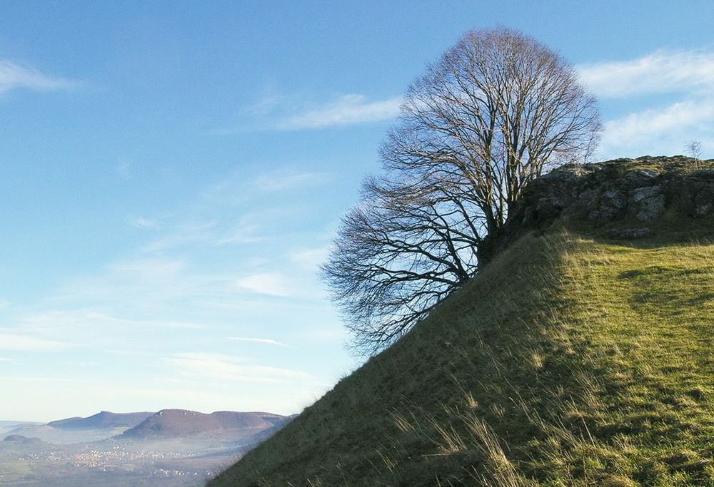 Vorfrühling am Albrand