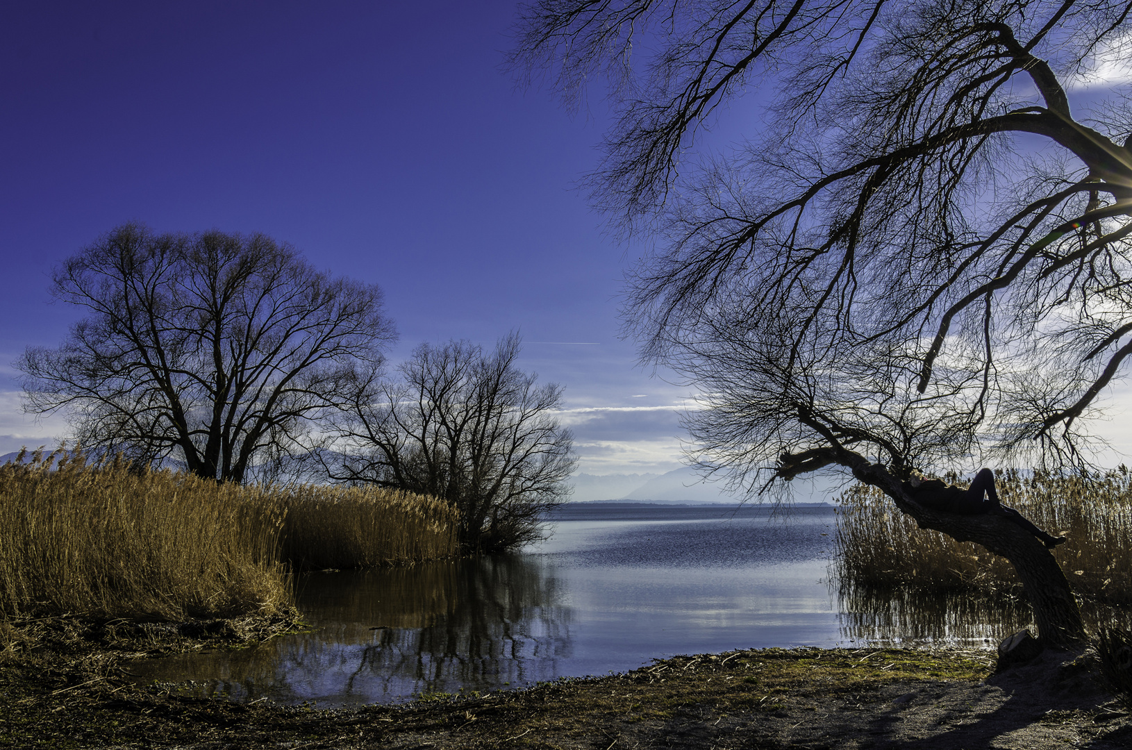 Vorfrühling am Chiemsee