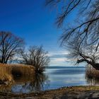 Vorfrühling am Chiemsee