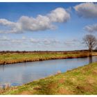 Vorfrühling am Elbe-Weser-Schifffahrtsweg