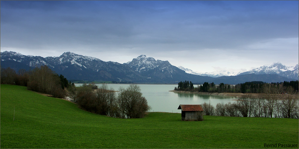 Vorfrühling am Forgensee