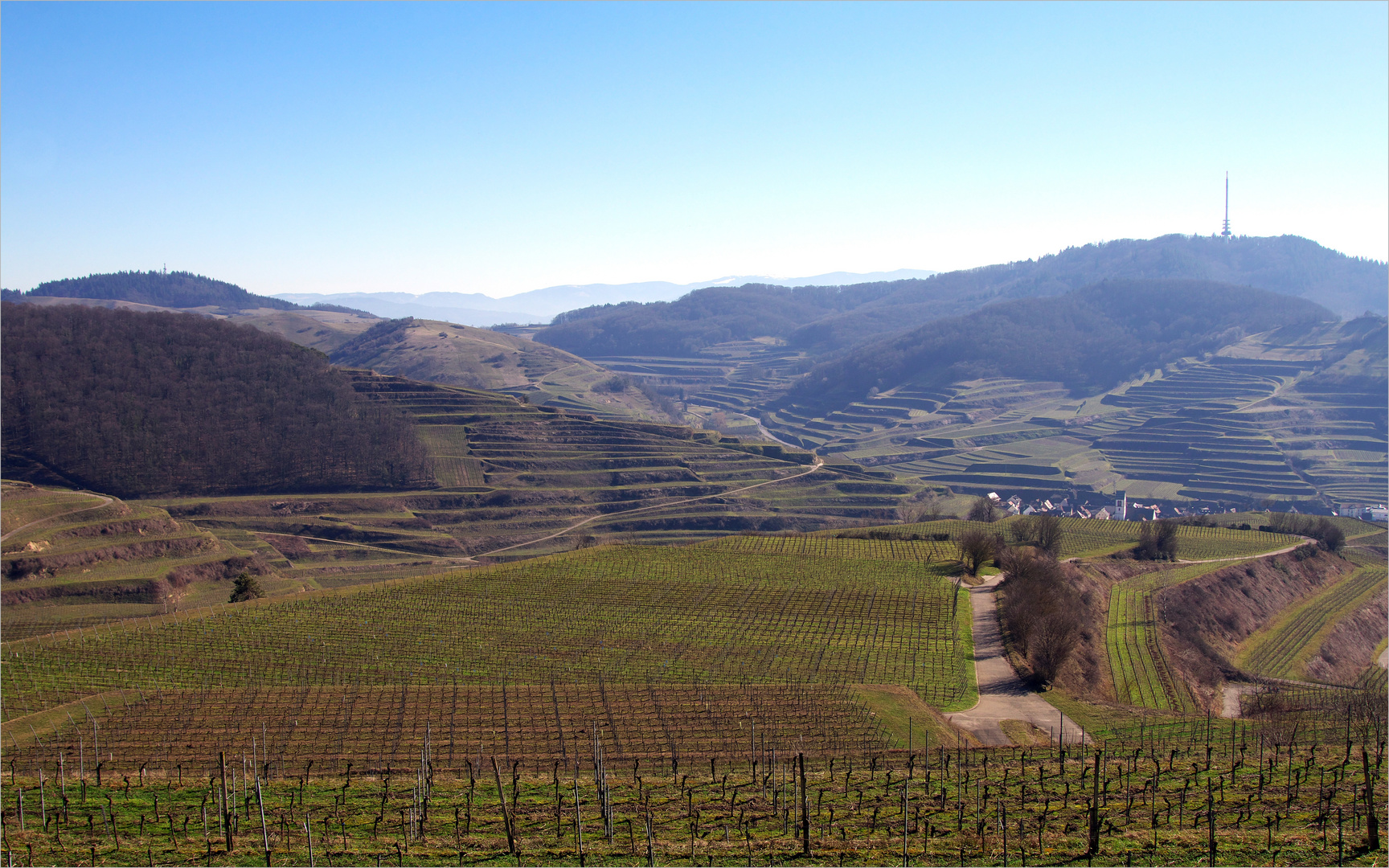 Vorfrühling am Kaiserstuhl