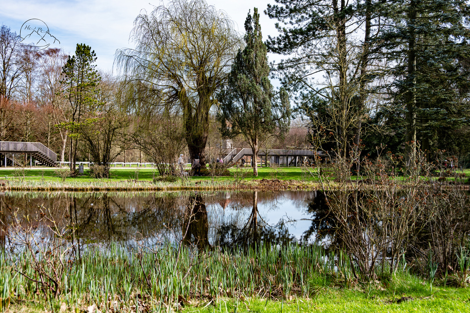  Vorfrühling am kleinem Teich im Salinenpark 