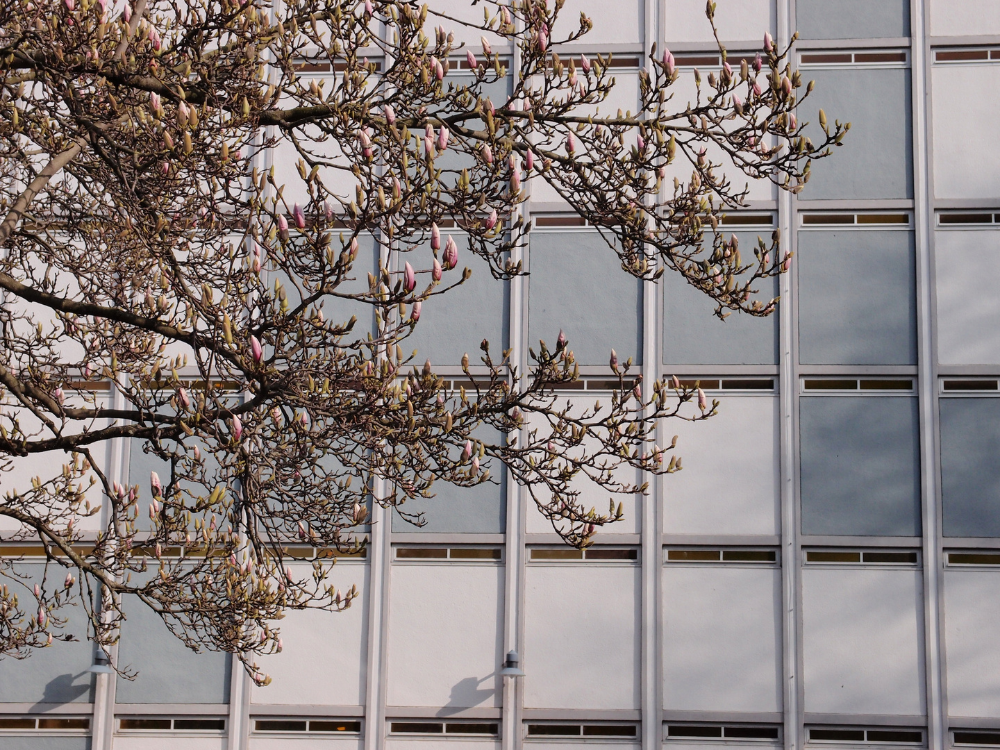 Vorfrühling am Landgericht Koblenz